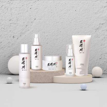 전체셋트